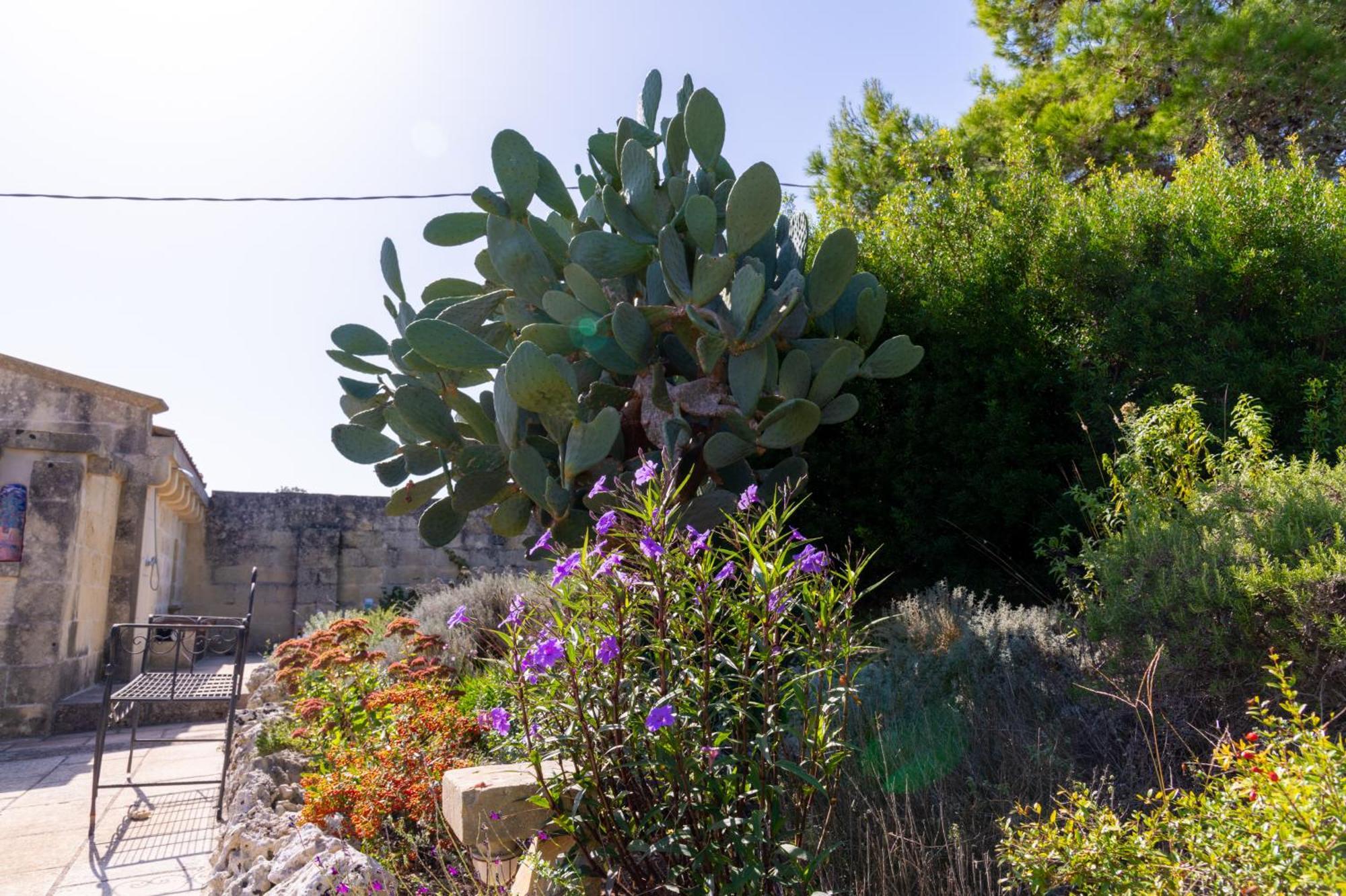 Masseria Caliani Борґаньє Екстер'єр фото